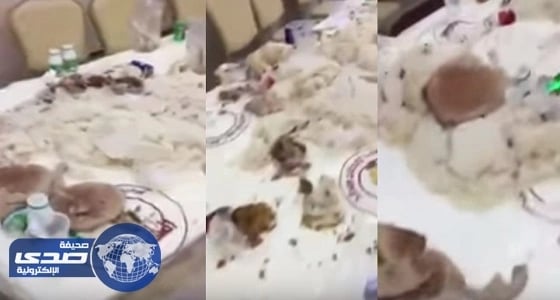 بالفيديو.. " سفرة عسير " في الأعراس تشعل مواقع التواصل
