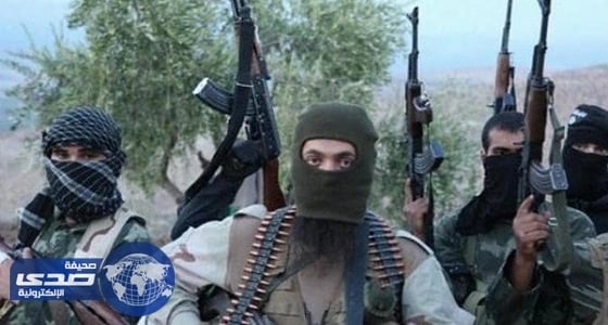 مقتل عدد من قيادات «داعش» في ضربة جوية للطيران العراقي