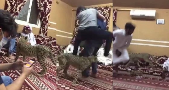 بالفيديو.. شاب يطلق " فهد " على أصدقائه وأحدهم يفزع خوفا