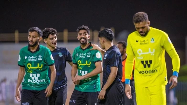 النجمة يصعد إلى دوري روشن والجماهير تحتفل في أرض الملعب.. فيديو