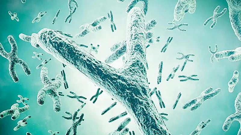 دراسة تحذر من اختفاء الكروموسوم الذكري واختفاء الرجال قريبًا