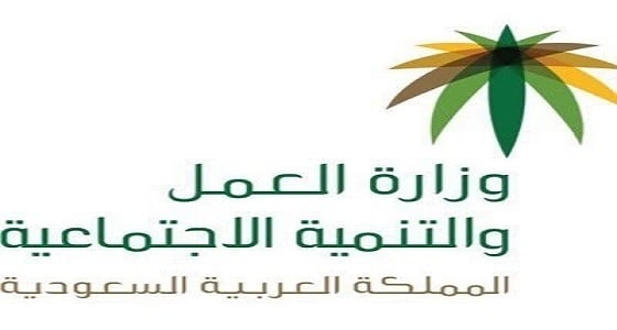 " العمل " : تحديث بيانات " ذوي الإعاقة " كشف عن حالات غير مستحقة مُسجلة