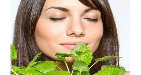 زيت النعناع للتخلص من حب الشباب وتطويل الشعر