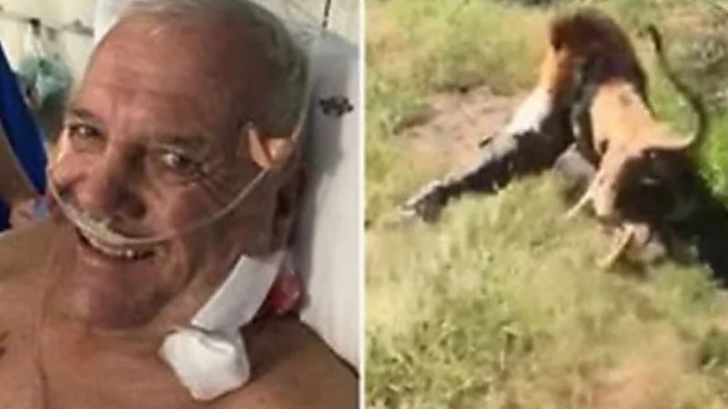 أسد متوحش يهجم على حارس حديقة الحيوان ويجره بفكيه