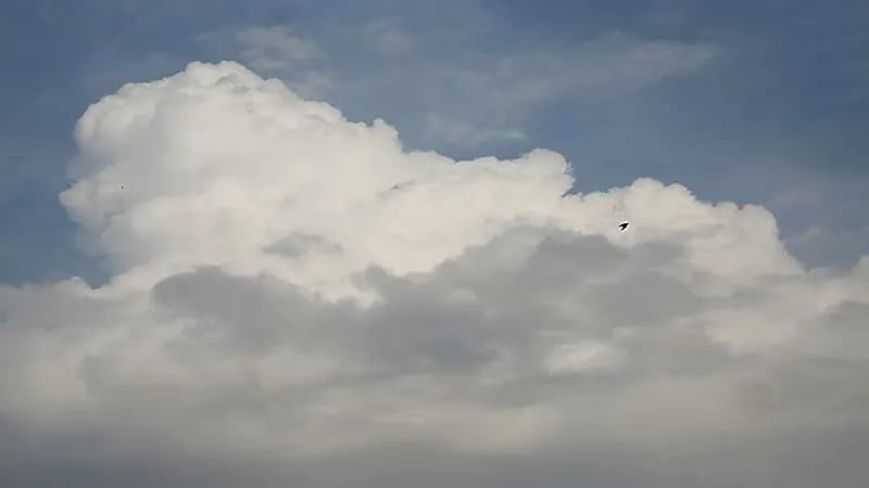 الجهني يكشف عن توقعاته بشأن موسم المراويح