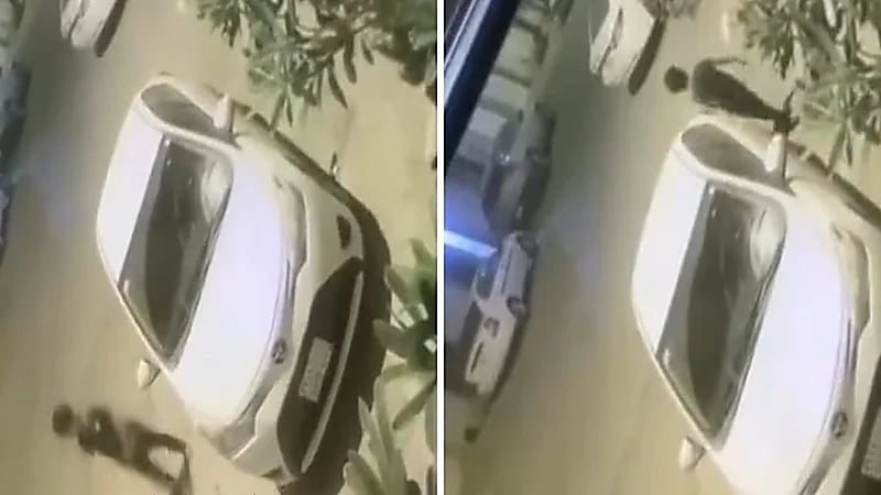 طفل يخرج من منزله فجرا ويمشي هو نائم..فيديو