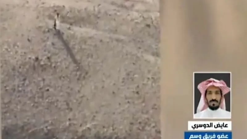 شاهد.. عضو بوسم: البحث عن مفقودي الأفلاج استغرق 13 ساعة 