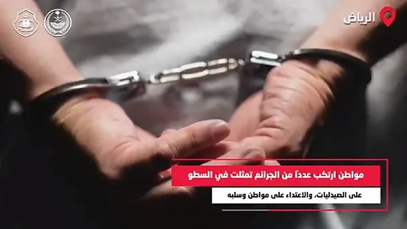 بالفيديو.. جهود الأمن العام في القبض على مرتكبي جرائم السرقة والاعتداء