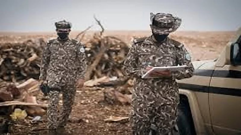 ضبط مواطنًا مخالفًا لنظام البيئة لاقتلاعه الأشجار دون ترخيص