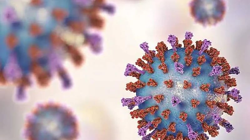 أعراض الفيروس المخلوي عند الأطفال والكبار والرضع