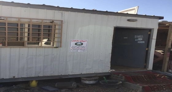 بالصور.. جولات ميدانية على المخيمات المخالفة بالروضة