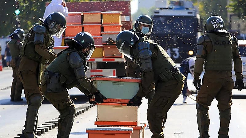 بالفيديو .. محتجون يطلقون 10 آلاف نحلة أمام قصر رئيس تشيلي