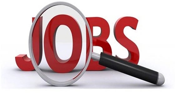 وظائف مديرين ومهندسين بشركة مقاولات كبرى