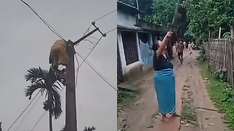 امرأة هندية تنهال بالضرب على موظف قطع عنها الكهرباء .. فيديو