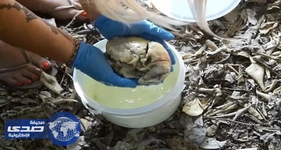 بالفيديو.. بكاء سيدة أثناء دفن قلبها