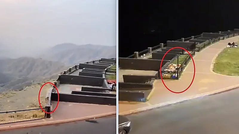 القرود تباغت مصيفين أثناء نومهم في أبها .. فيديو