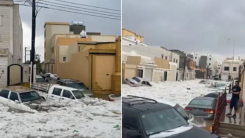 "الأرصاد" يوجّه بإجراء دراسة مناخية حول بردية الطائف وخميس مشيط