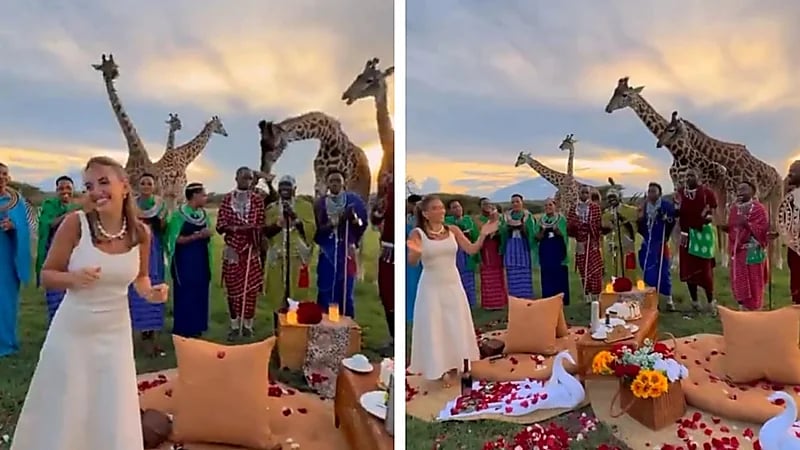 غيث مروان يفاجئ زوجته بيوم ميلادها باحتفال استثنائي في قلب الغابة.. فيديو