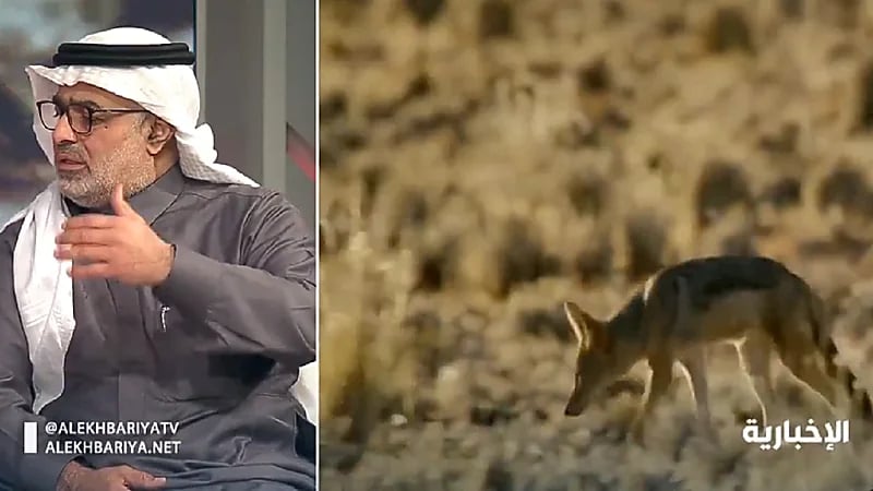 تعليق الحياة الفطرية على سؤال "شلون أحمي حلالي من المفترسات؟"