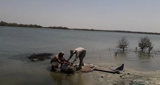 بالصور.. العثور على ألغام حوثية قبالة سواحل ميدي