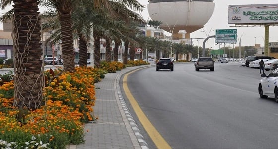 الصور.. تجميل شوارع وميادين بريدة بأكثر من 3 ملايين زهرة