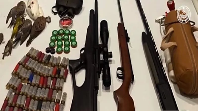 بالفيديو.. ضبط 62 مخالفًا لنظام البيئة في عدد من المناطق