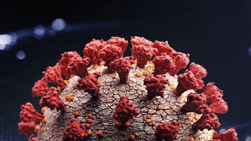 الصين ترصد نوعًا جديدًا من سلالة أوميكرون