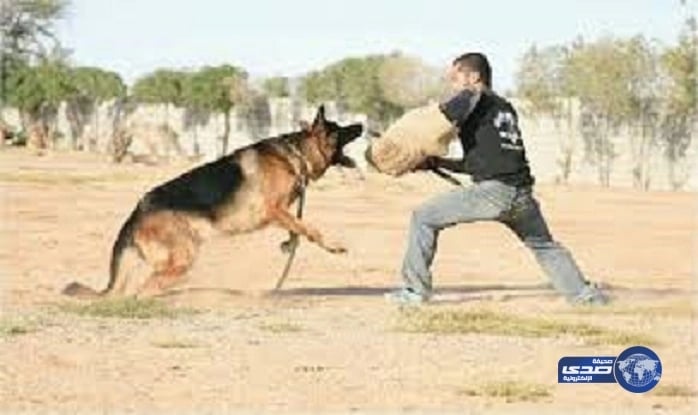 " هنيدي " لمنتقديه : أحنا عيله بتزرع شعر صدرها لتحسين شكلها