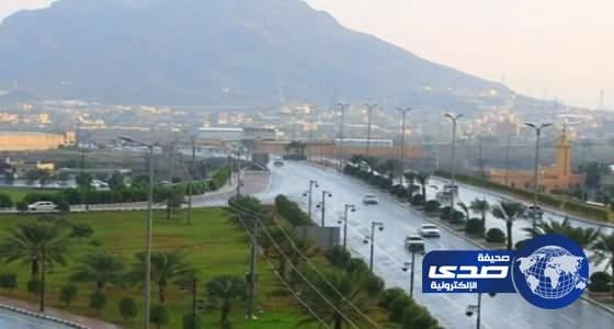 أمانة عسير تكشف حقيقة إطلاق احد منسوبيها عبارات مسيئة ضد المملكة