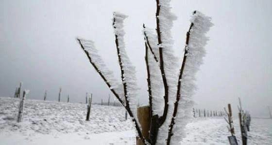 بالصور..لمدة 10 ايام ..درجات الحرارة تتدنى لأقل من الصفر في سويسرا
