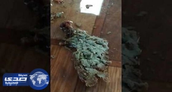 أمانة الباحة تعلق على واقعة تجمع ديدان وذباب في أحد المسالخ «فيديو»