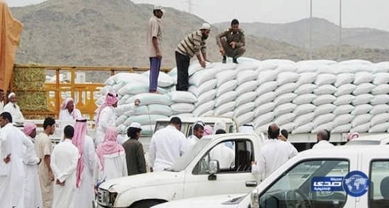 مصادر: إسناد مهمة استيراد الشعير إلى «مؤسسة الحبوب».. وشركات للتعبئة والتوزيع