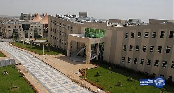 إنشاء وقف علمي ومعهد للبحوث والاستشارات بجامعة بيشة