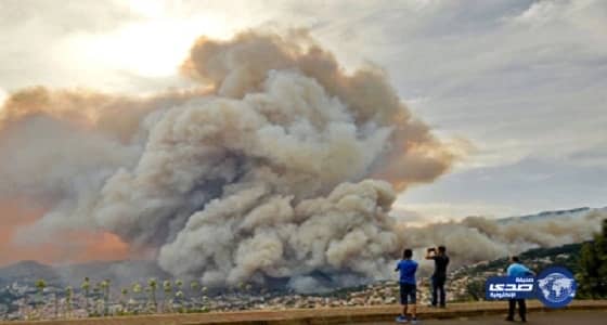 الحرائق تلتهم 2000 هكتار من الغابات في تونس