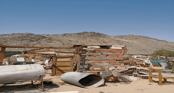 بالصور.. " العمرة الفرعية " تزيل 530 من حظائر الأغنام