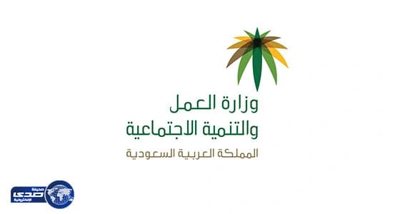 " العمل " : امتلاك صك عقاري واحد لا يؤثر على الضمان