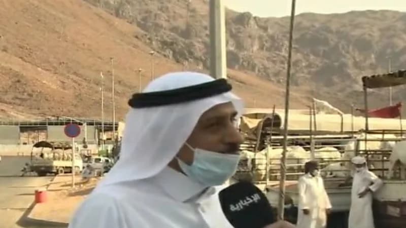 الزغيبي يكشف عن أسباب ارتفاع أسعار الأعلاف والمواشي في المدينة " فيديو "