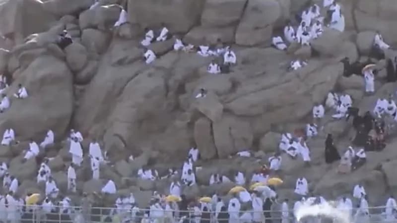 شاهد.. ضيوف الرحمن يبتهلون بالدعاء في جبل الرحمة