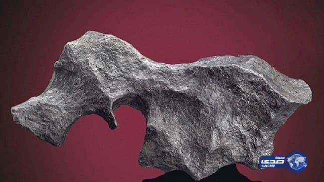 العثور على جثتي عشيقين داخل غرفة