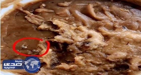 الإغلاق والغرامة لأحد المطاعم لبيعه فول به حشرات في الليث