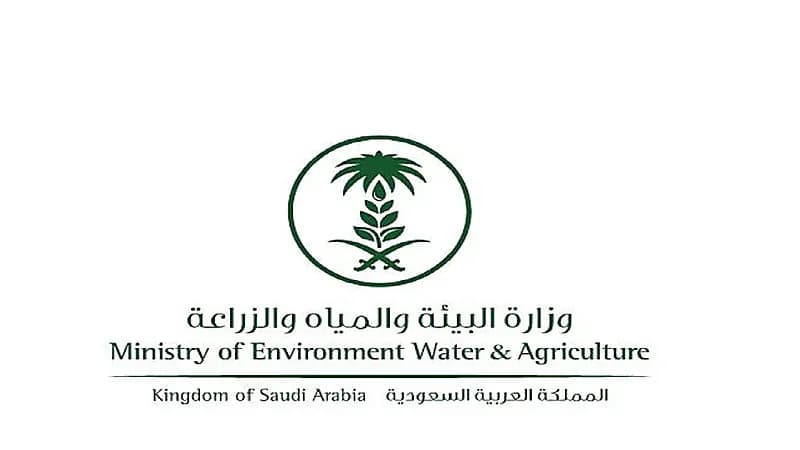 متحدث " البيئة " ينفي زيادة نسبة النترات في الخضار