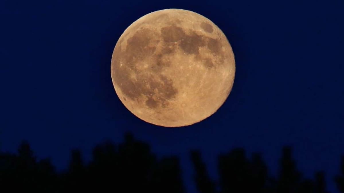 فلكية جدة: سماء المملكة والعالم العربي تشهد أول قمر عملاق لهذا العام
