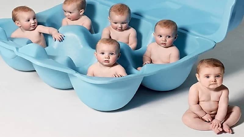 استشارية تكشف عن تفاصيل تجميد البويضات ومدة الاحتفاظ بها "فيديو"