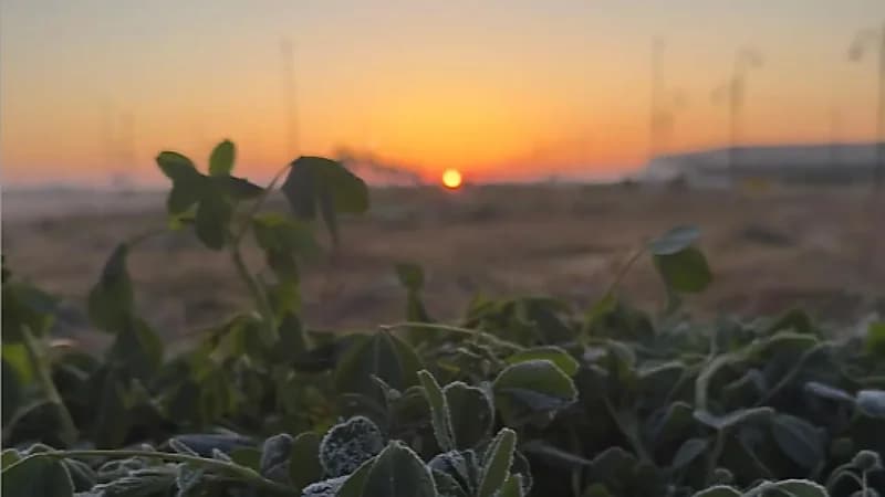 طريف تسجل أقل درجة حرارة بالمملكة