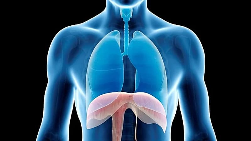 "سعود الطبية" تحذر من مضاعفات شلل الحجاب الحاجز