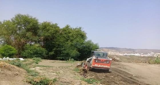 بالصور.. بلدية محايل تزيل مزرعة للورقيات تسقى بمياه الصرف الصحي