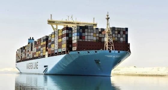 المملكة تستقبل أول شحنة من القمح الصلد