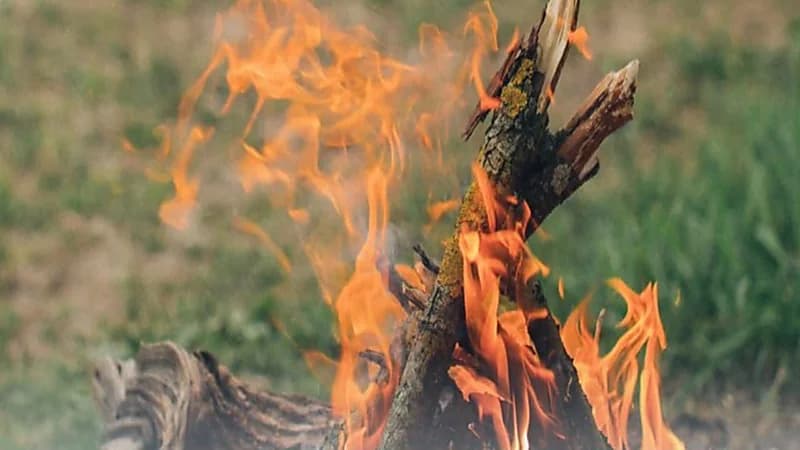 ضبط 5 مخالفين لنظام البيئة لقيامهم بإشعال نار في غير الأماكن المخصصة لها