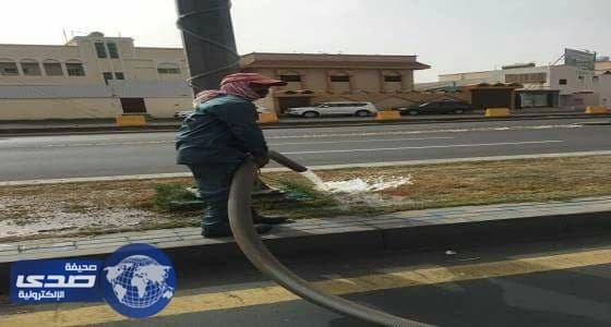 أهالي أحد رفيدة: استخدام الصهاريج الكبيرة في ري الأشجار يعرضنا للخطر