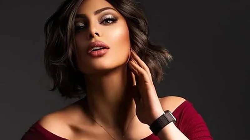 حبس راقصة شهيرة بتهمة حيازة مواد مخدرة على متن طائرة